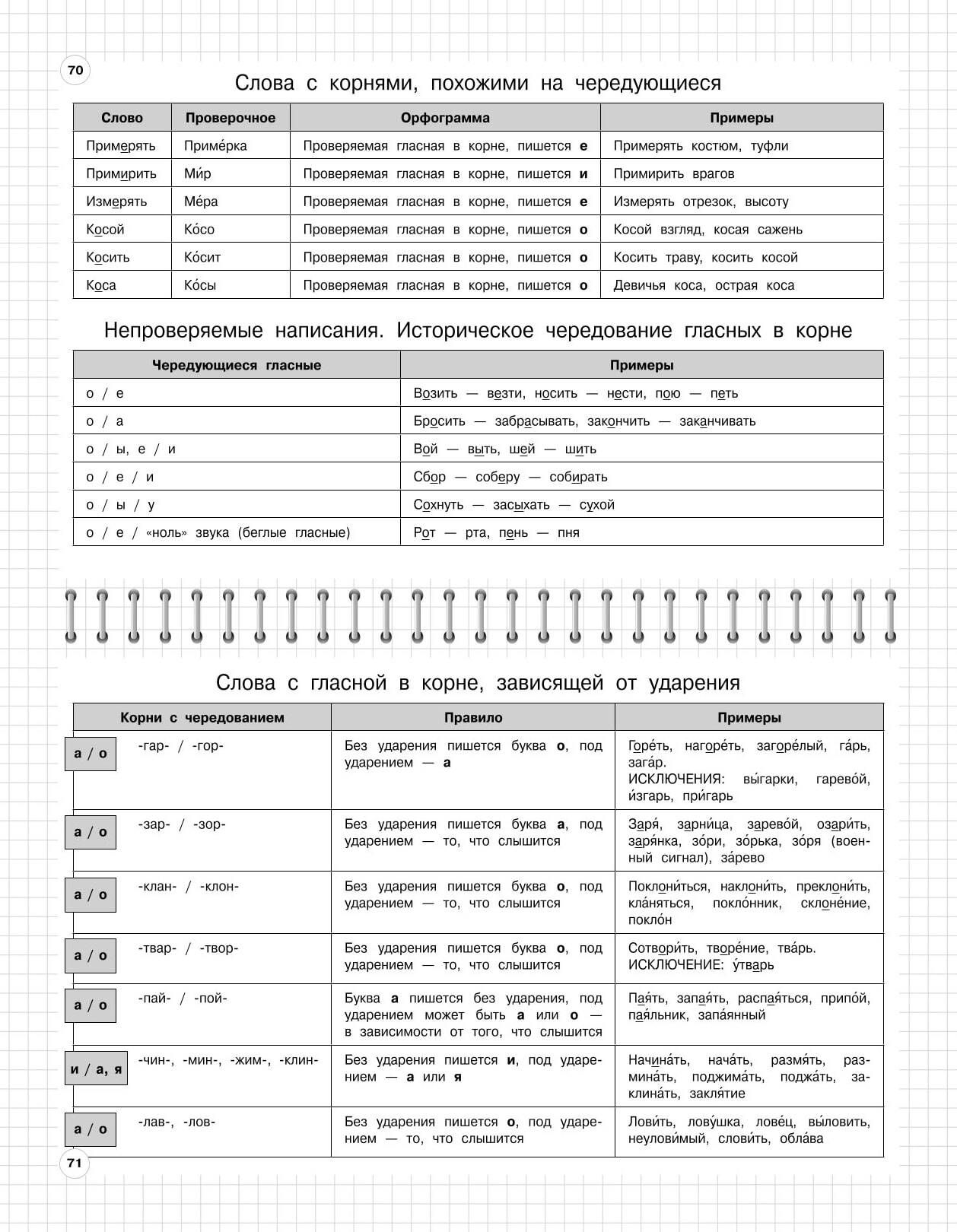 Русский язык: 5-11 классы | Russian Language: 5–11 Grades - Ozon image 6