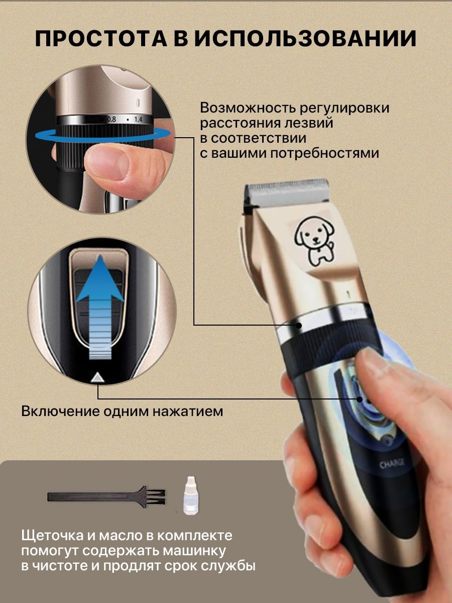 Вацапр. Вацапр