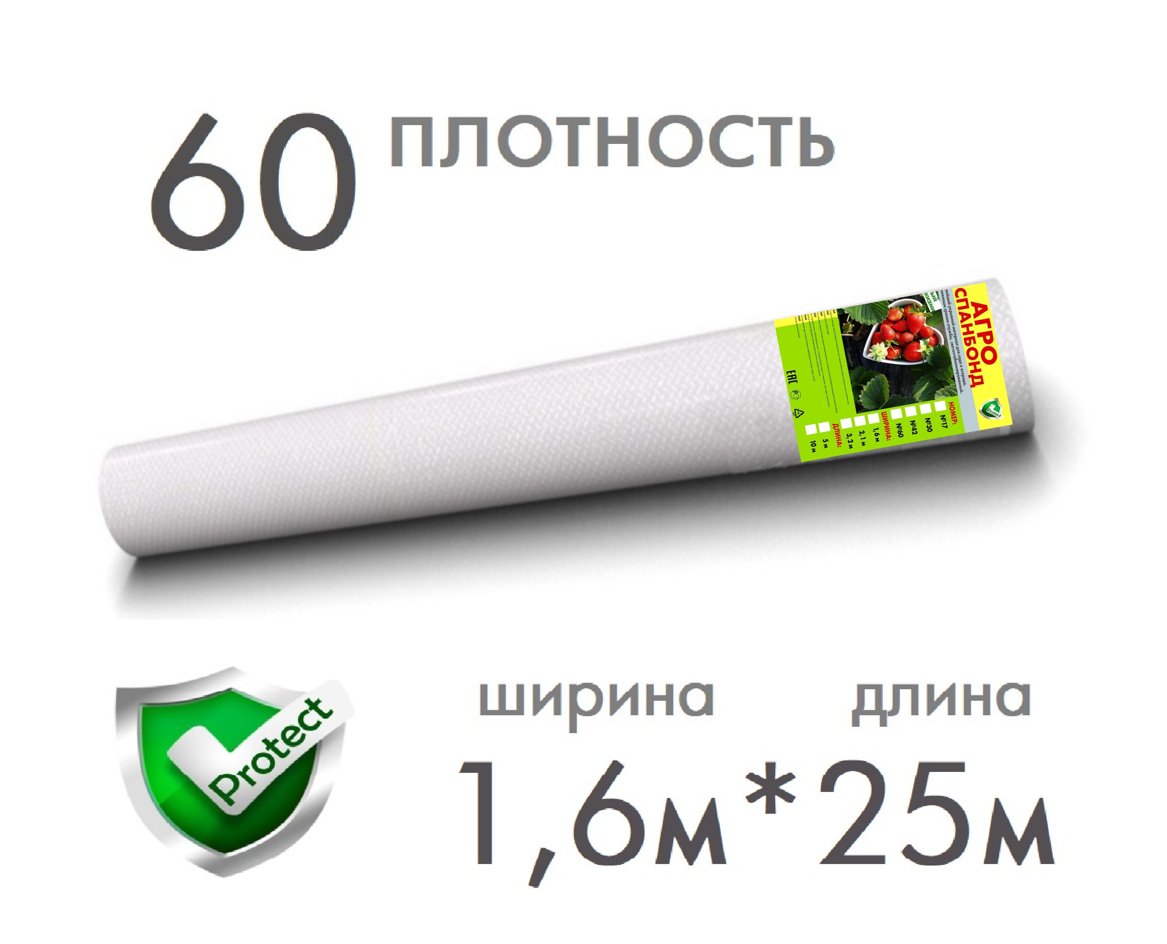 Строй экспорт