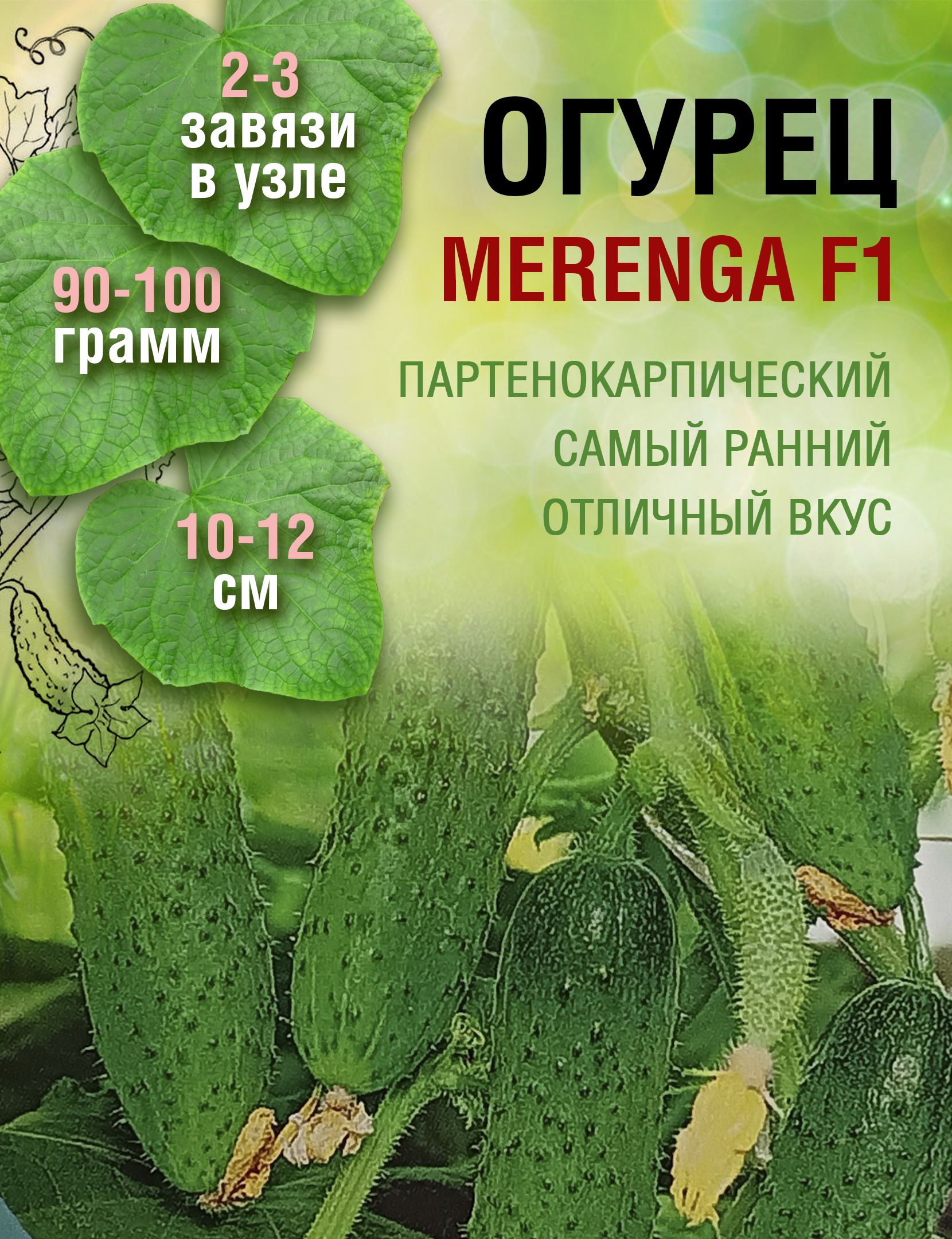 Яндекс.Дзен ciscoexpo.ru