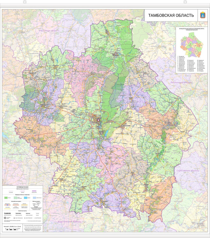 настенная карта Тамбовской области 102х110 см (с подвесом)