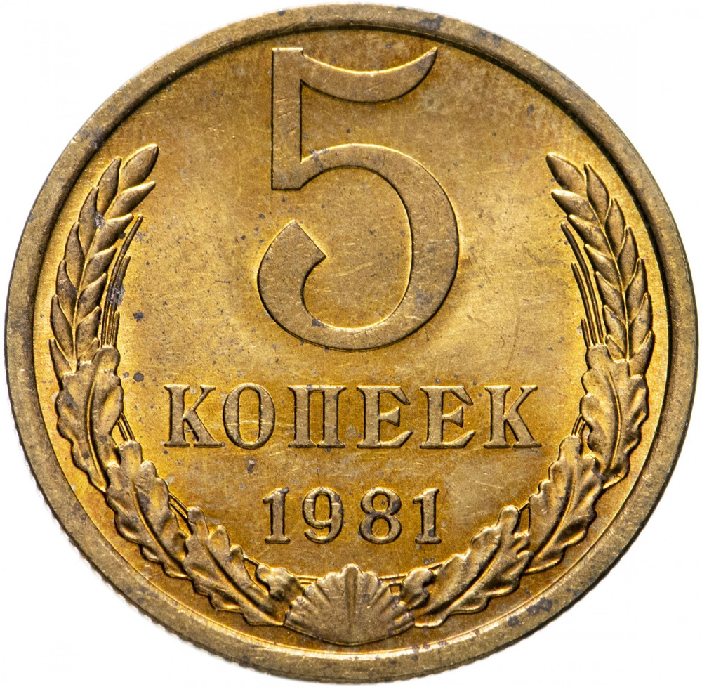 5 копеек 1981 #1