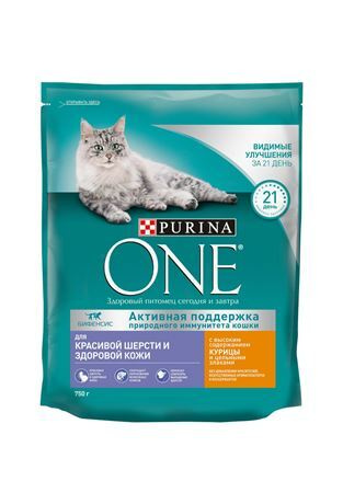 Purina 2024 one indoor