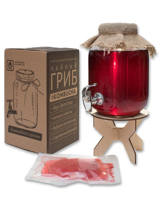 Набор чайный гриб Рубиновый (лимонадник 3л+чайный гриб+подставка+инструкция)  #1