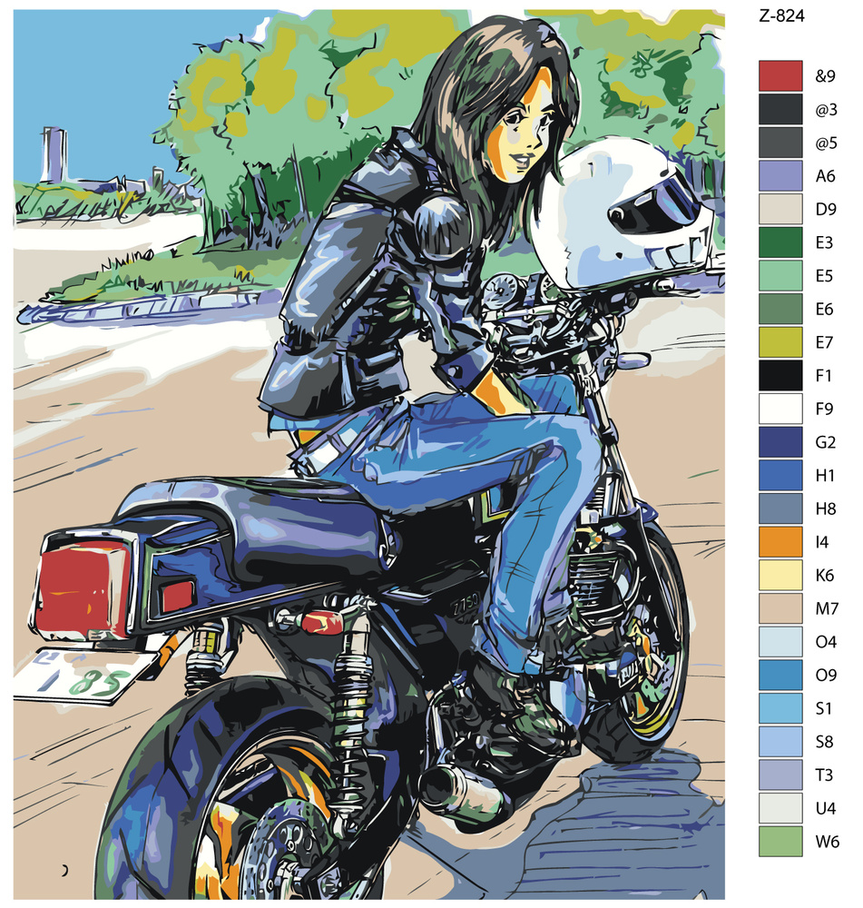 Картина по номерам Z824 