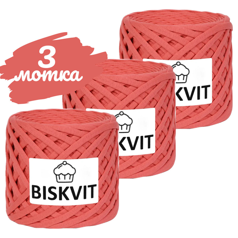 Трикотажная пряжа Biskvit коралл, 100м., лицевая, 3шт. (бисквит)  #1