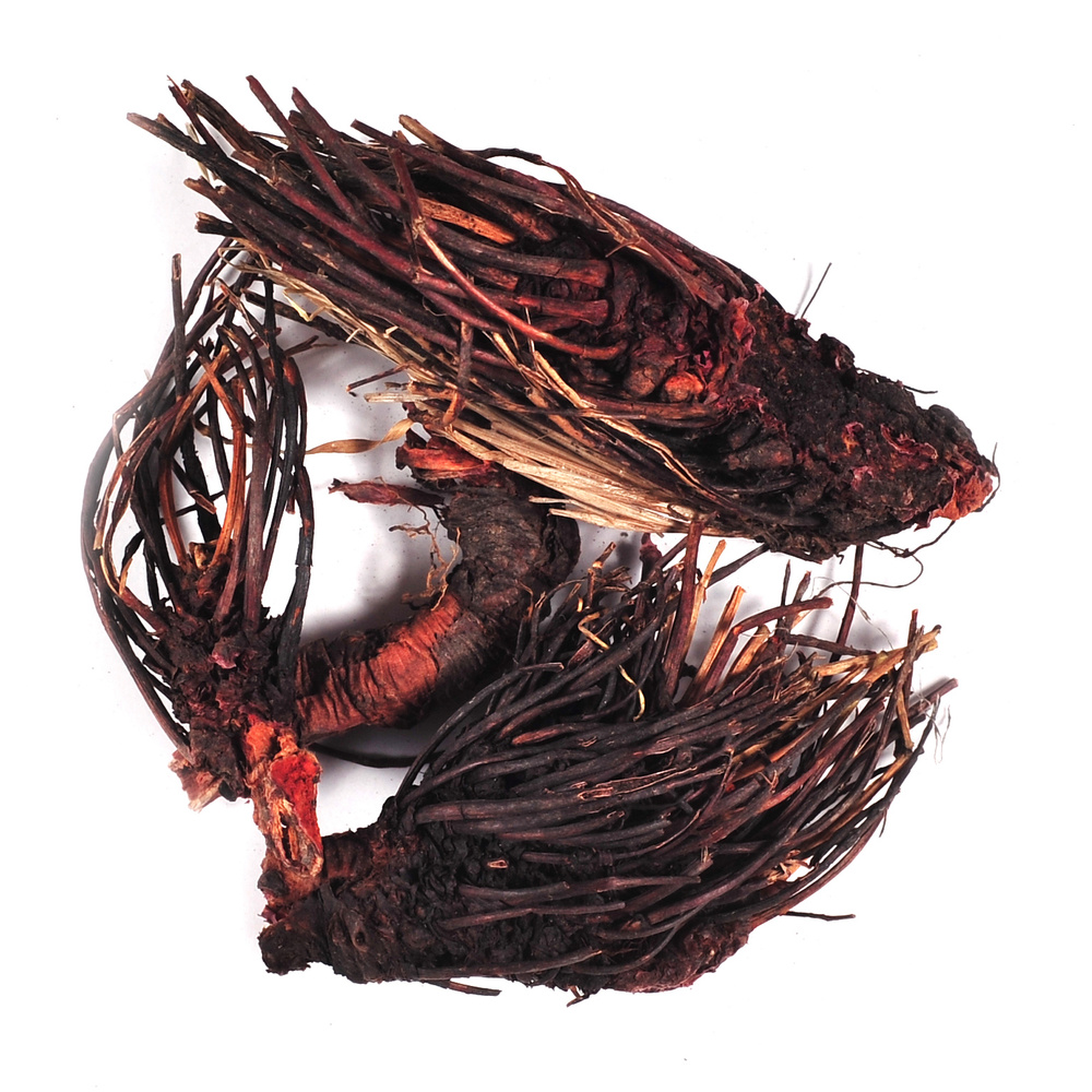 Красная щетка корень (250гр) - Родные Травы #1