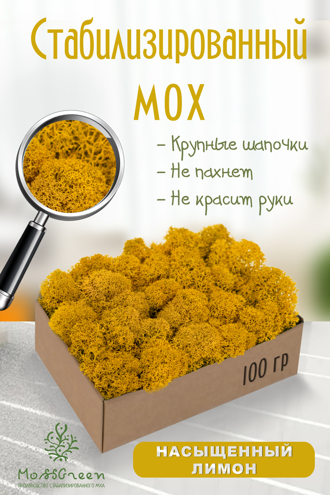 Moss Green Стабилизированный мох Мох, 100 гр #1