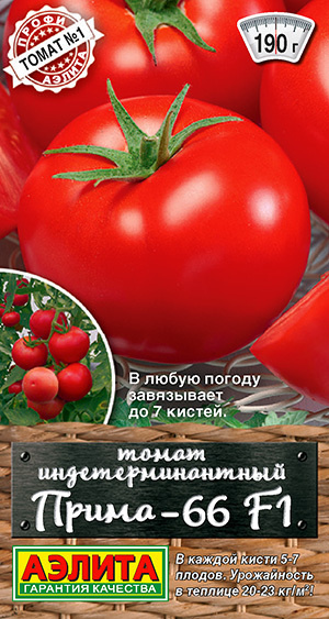 Томат Прима-66 раннеспелый мегапродуктивный универсального использования индетерминатный  #1