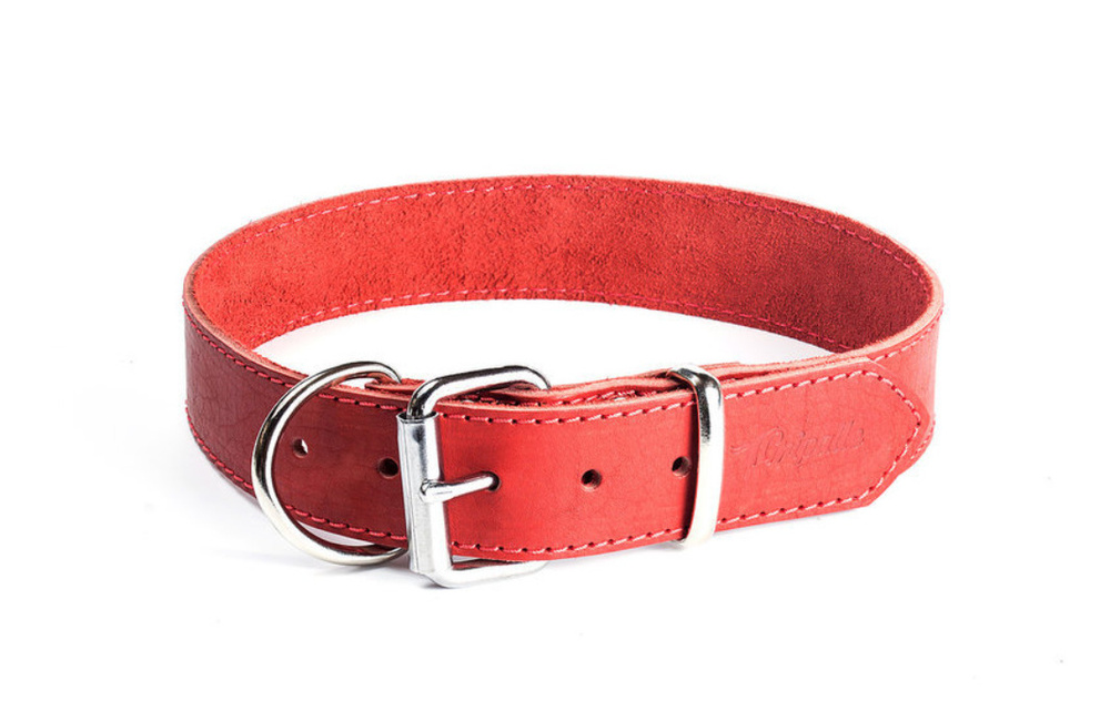 Ошейник для собак, стальная фурнитура, кожаный, красный, 25ммх40 см ...
