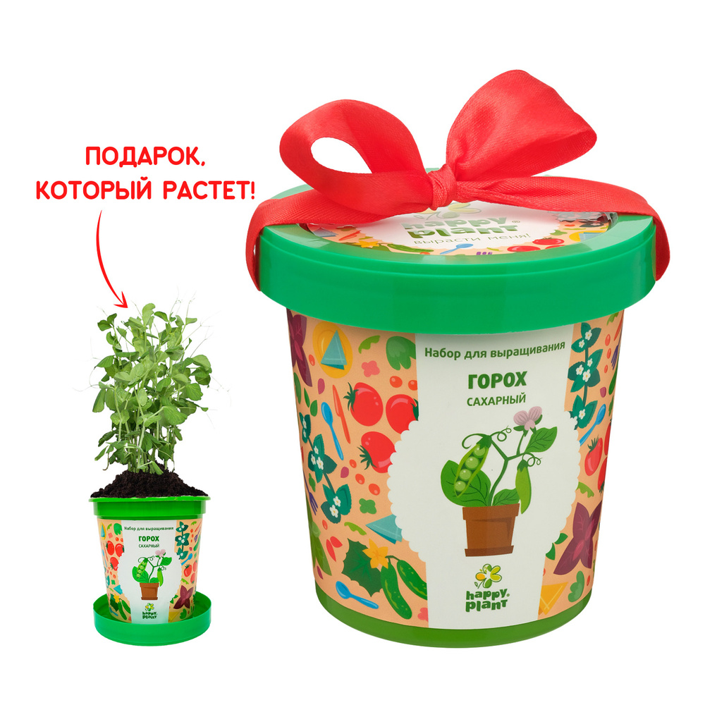 Набор для выращивания растений Happy Plant Горох сахарный, семена комнатных  растений в подарочном горшке