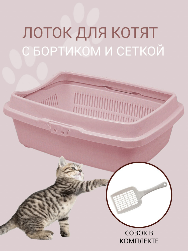 Туалет для котят с сеткой и бортом DD Style, кошачий туалет, лоток для  кошек с совком, пепельно-розовый - купить с доставкой по выгодным ценам в  интернет-магазине OZON (388211141)