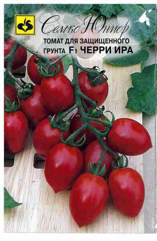 Черри ира томат описание отзывы фото 1S00109974 - купить по выгодным ценам в интернет-магазине OZON (1407185863)