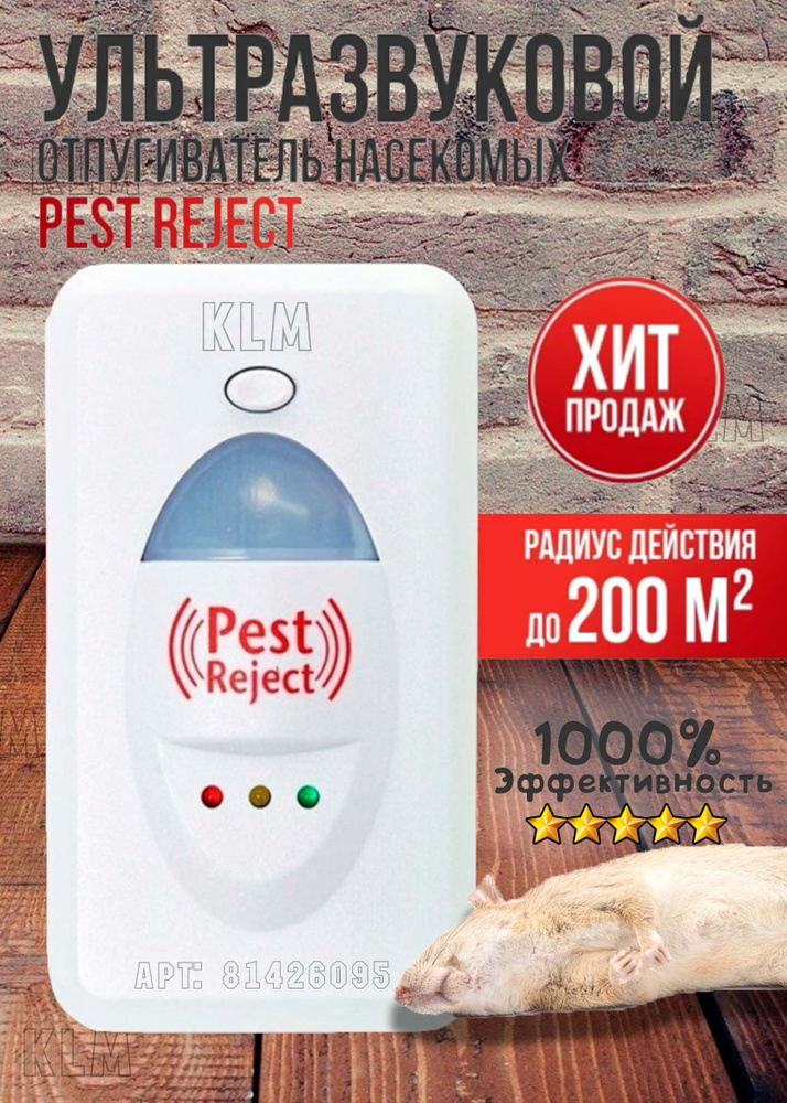 Pest Reject В Бишкеке