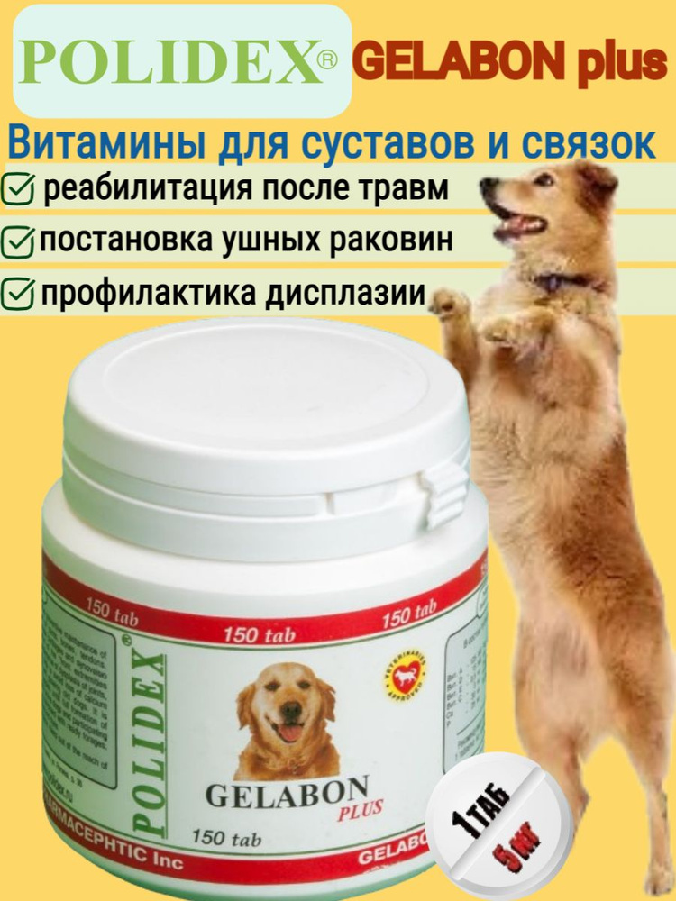 Polidex 150 Gelabon plus (Гелабон плюс) 1таб./5 кг - купить с доставкой ...