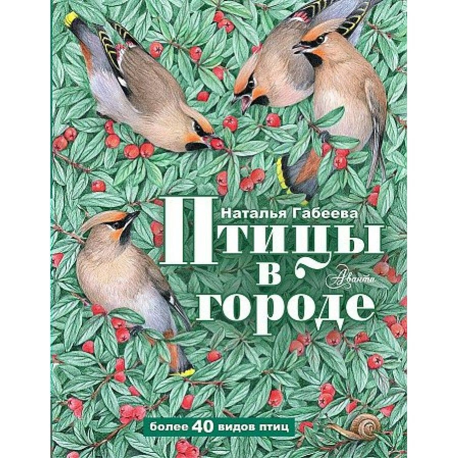 Птицы в городе. Габеева Н.М. - купить с доставкой по выгодным ценам в  интернет-магазине OZON (805724617)