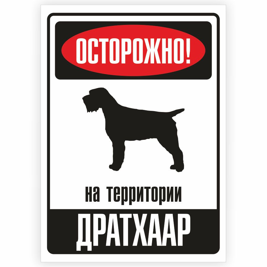 Табличка, металлическая, DANGER DOG, Осторожно! На территории Дратхаар, 18x25 см  #1