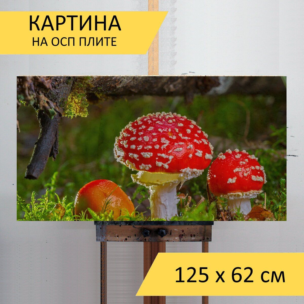 Картина "Мухомор, грибы, красные мухоморы" для интерьера на стену ...