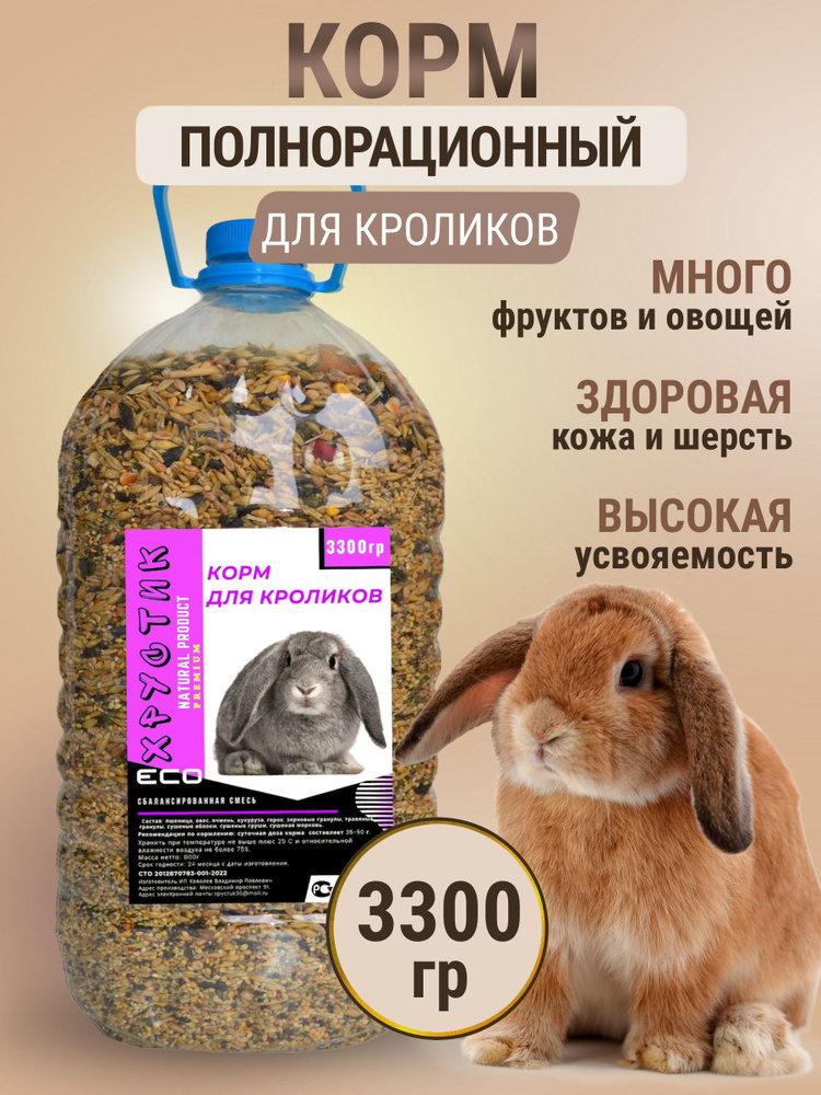 Кормление декоративного кролика: особенности пищеварения грызуна