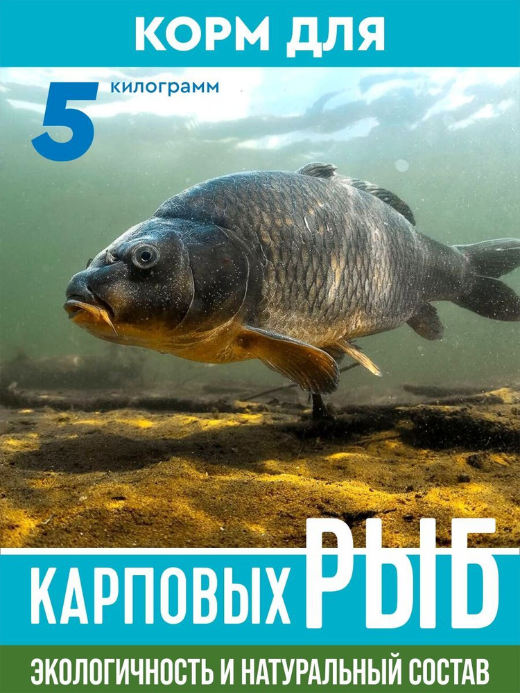 Магазин рыболовных товаров Carp Zander -клуб рыбаков магазин