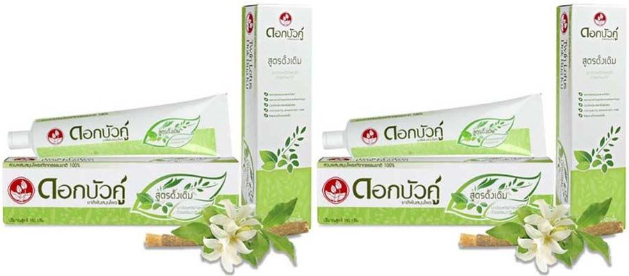 Зубная паста Twin Lotus Herbal, комплект: 2 упаковки по 100 г #1