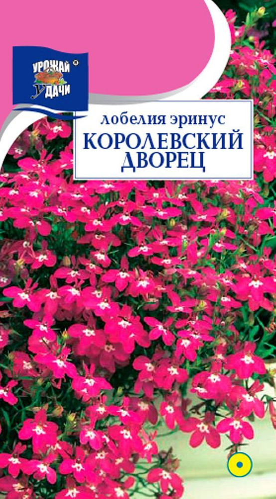 Семена Лобелия низкорослая КОРОЛЕВСКИЙ ДВОРЕЦ (Семена УРОЖАЙ УДАЧИ, 0,03г в упаковке)  #1