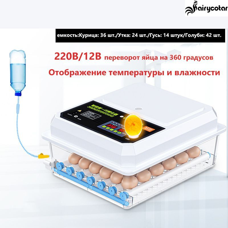инкубатор для яиц автоматический 220V/12V -  с доставкой по .