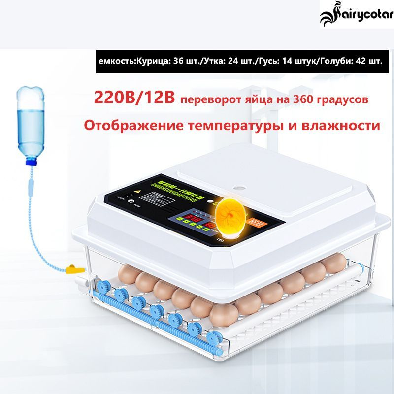 инкубатор для яиц автоматический 220V/12V - купить с доставкой по ...