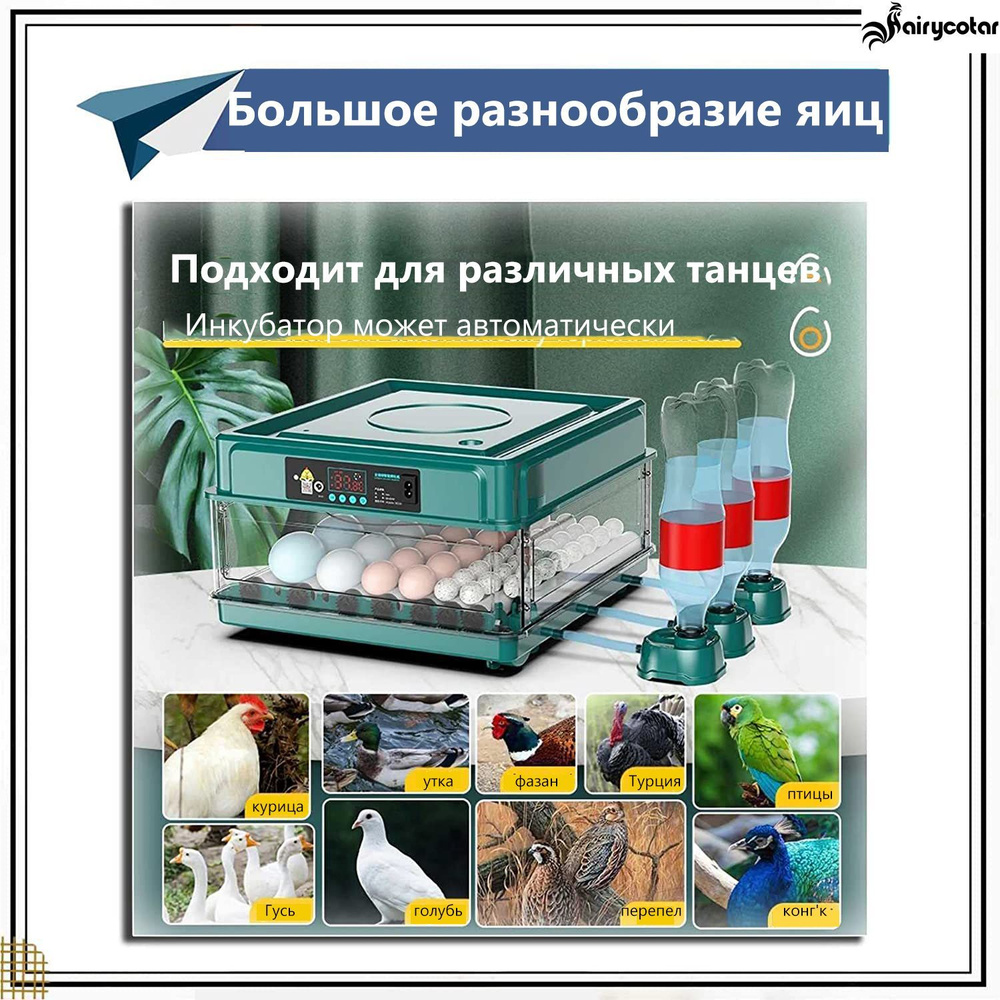 Умный инкубатор для яиц/Автоматическое переворачивание яиц и ...