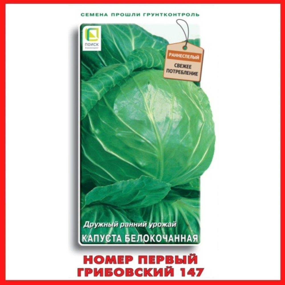 Семена Капуста белокочанная "Номер первый Грибовский 147" 0,5 гр, для дома, дачи и огорода, в открытый #1