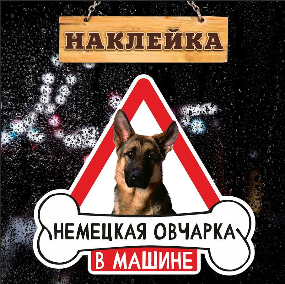 Наклейка, на авто, Немецкая овчарка в машине, Злая собака, 17см х 16см -  купить по выгодным ценам в интернет-магазине OZON (966021050)