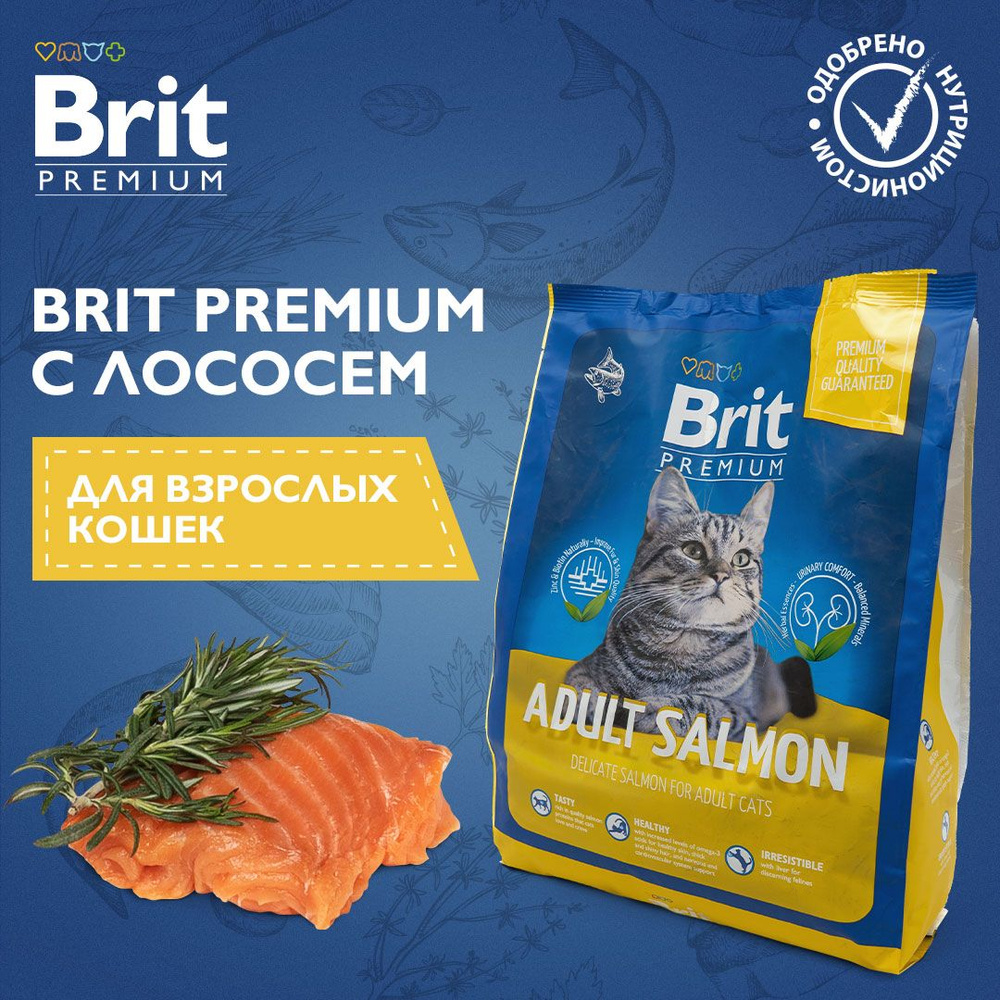 Сухой корм для кошек Brit Premium Cat Adult Salmon с лососем, 0,4 кг -  купить с доставкой по выгодным ценам в интернет-магазине OZON (489093947)
