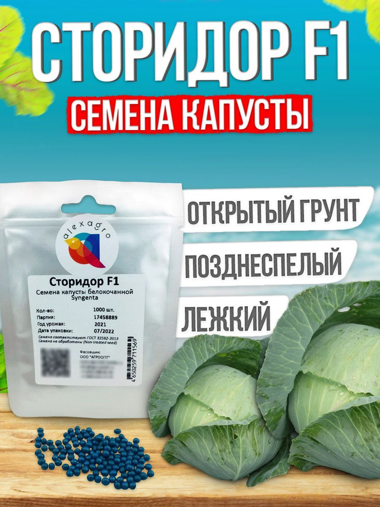 СТОРИДОР F1 семена капусты белокочанной, 1000 шт (Syngenta / ALEXAGRO). Высокоурожайный, поздний гибрид #1