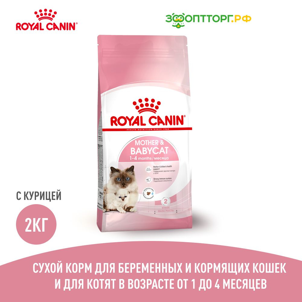 Royal best sale canin babycat