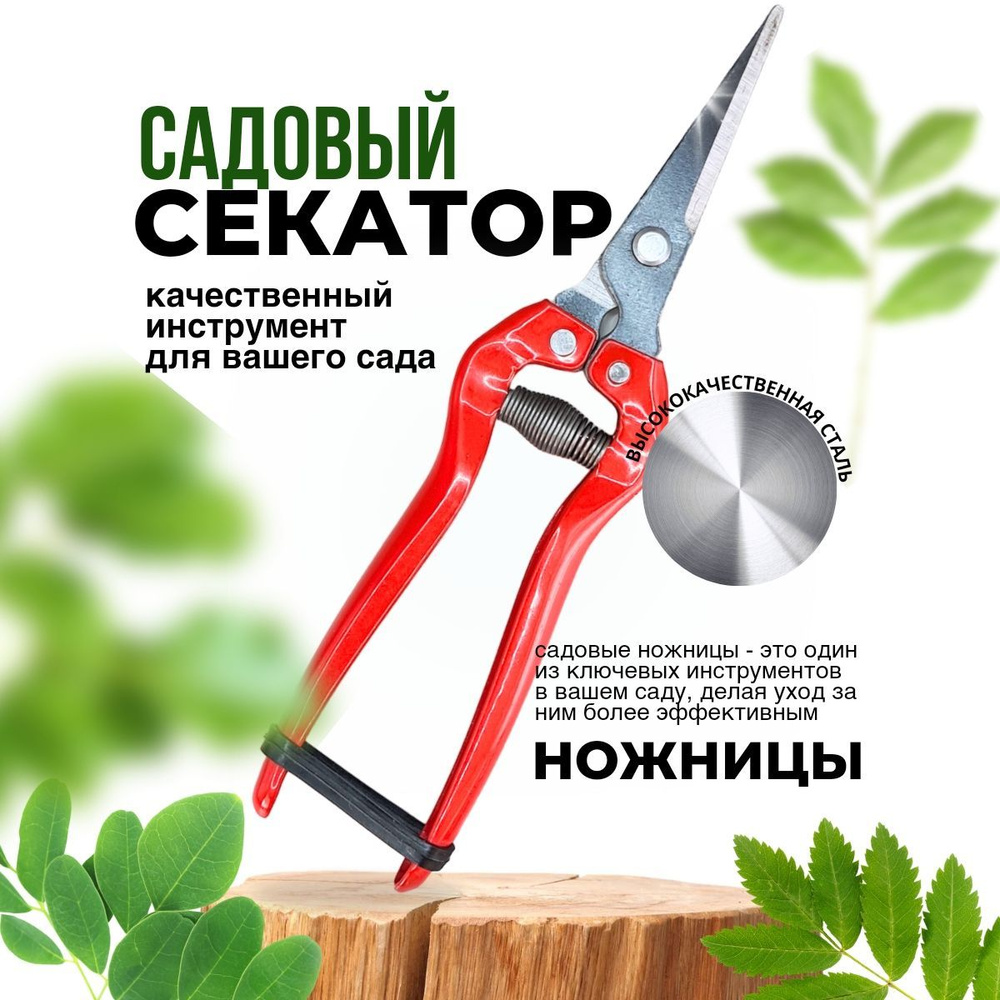 Секатор ножницы для сада, цветов и комнатных растений - купить с ...