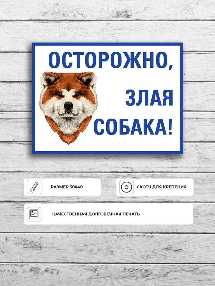 Табличка "Осторожно злая собака Акита-ину" (бело-синяя) А3 (40х30см)  #1