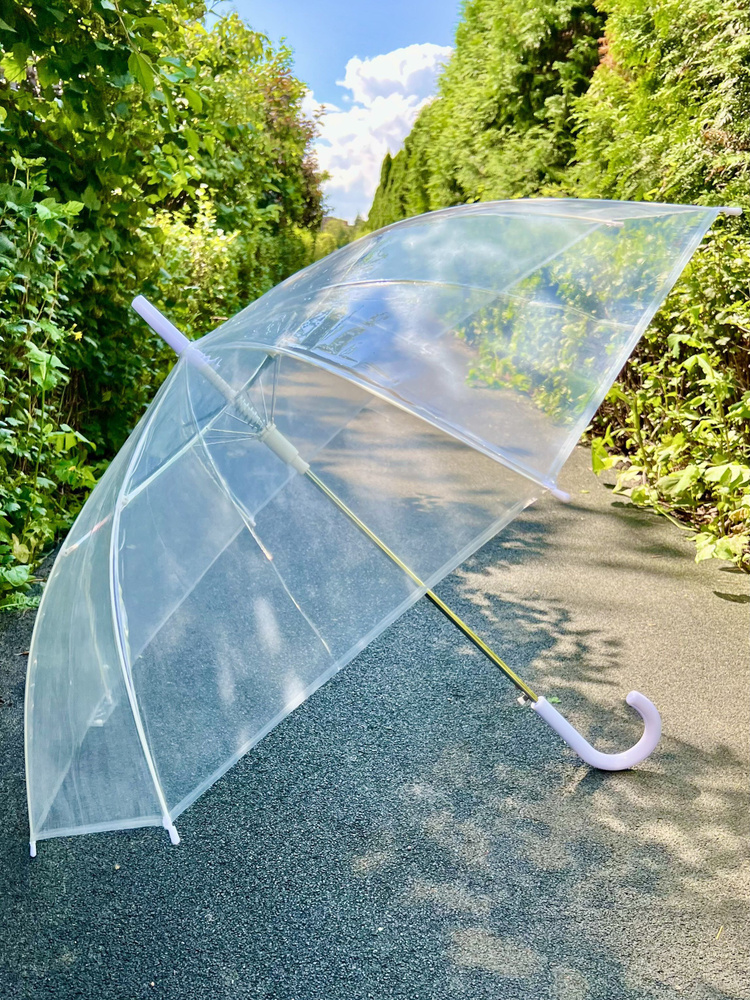 Зонт Popular Umbrella, Трость, прозрачный купить c доставкой на OZON по ...