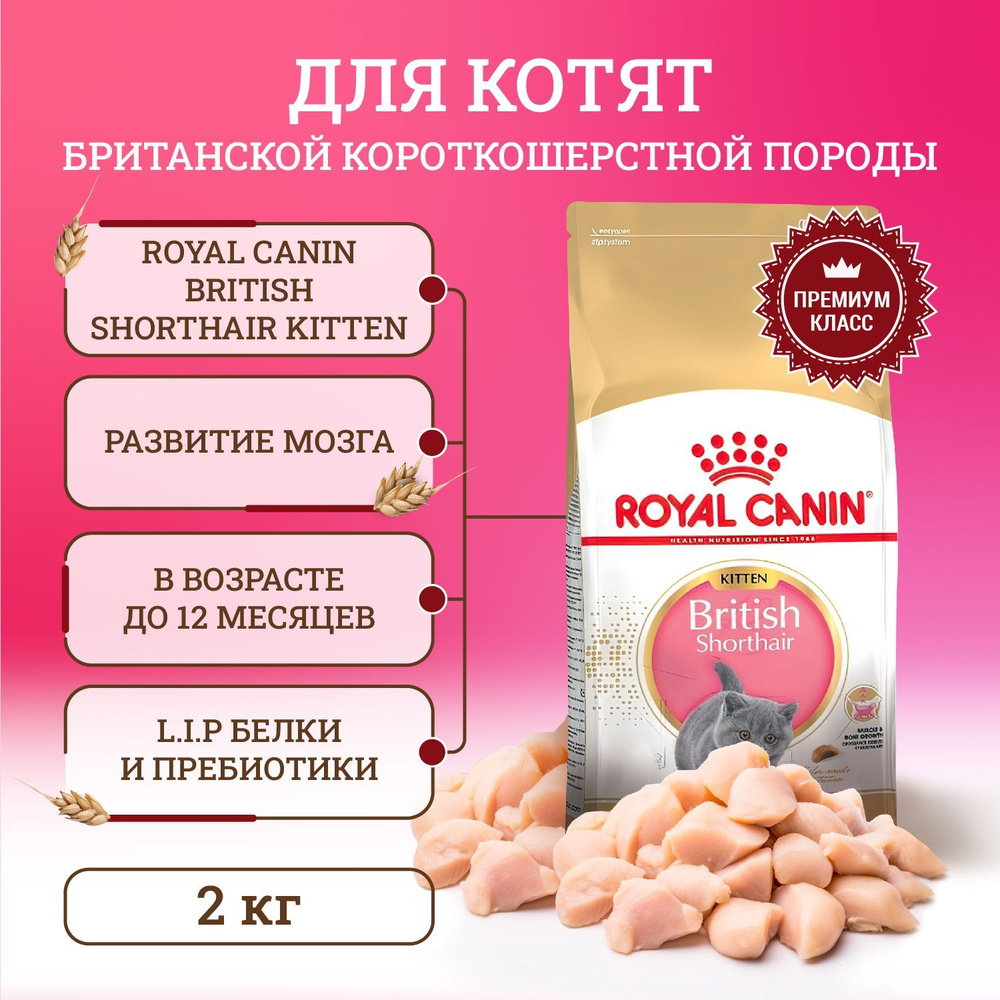 Сухой корм для котят породы британской короткошерстной Royal Canin Kitten British Shorthair, 2 кг  #1