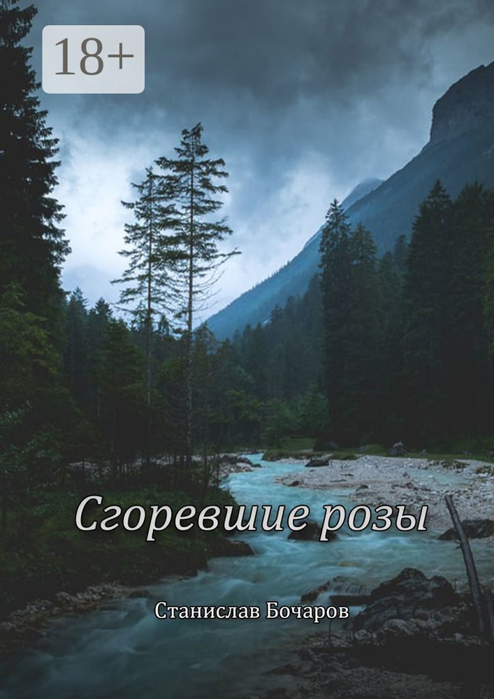 Сгоревшие розы | Бочаров Станислав #1