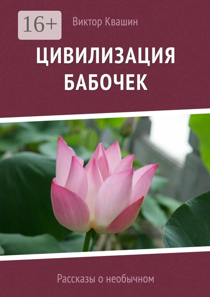 Цивилизация бабочек. Рассказы о необычном | Квашин Виктор #1
