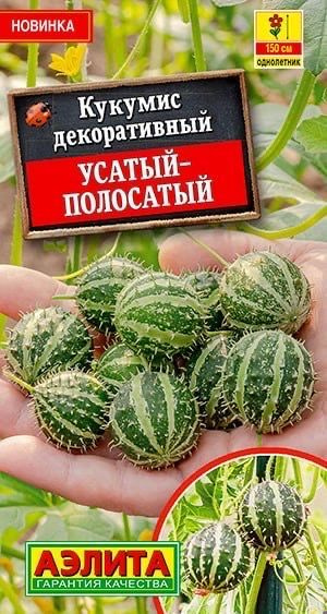 КУКУМИС ДЕКОРАТИВНЫЙ Усатый-полосатый. Семена. Вес 5 шт. Это однолетнее растение-лиана часто именуется #1