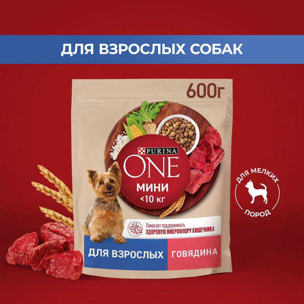 Сухой корм для собак Purina ONE МИНИ для мелких и карликовых пород при  активном образе жизни, с говядиной и рисом, 600 г