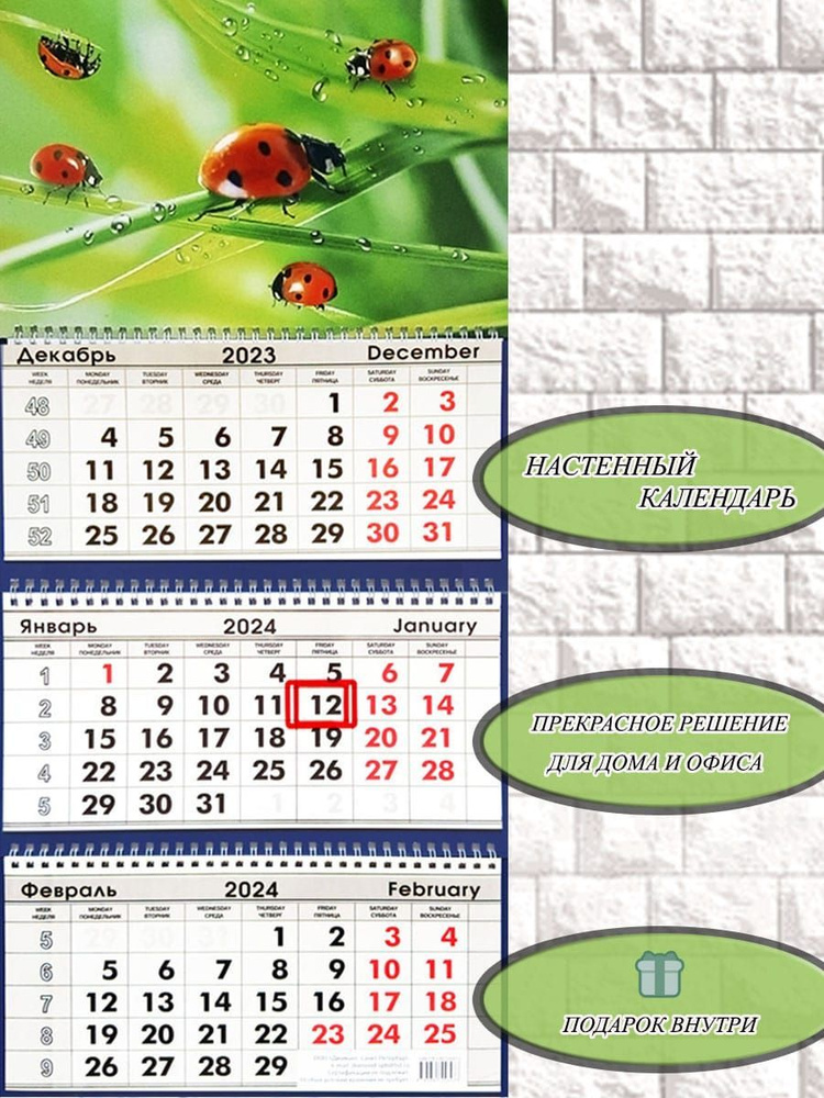 Календарь настенный квартальный трехблочный на 2024 год/ Календари для  дома, работы, дачи/ БОЖЬЯ КОРОВКА - купить с доставкой по выгодным ценам в  интернет-магазине OZON (1224284556)
