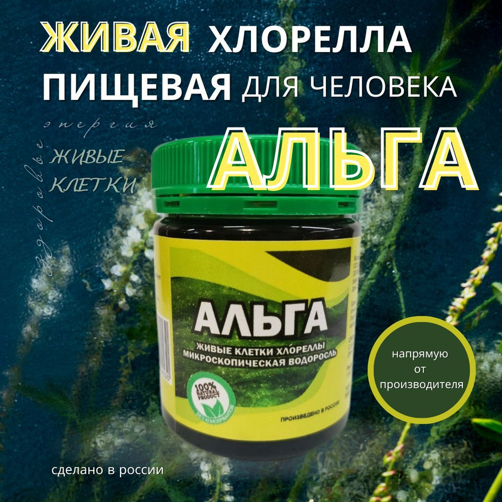 Альга Живая Хлорелла, Пищевая для человека, только живые клетки без ...