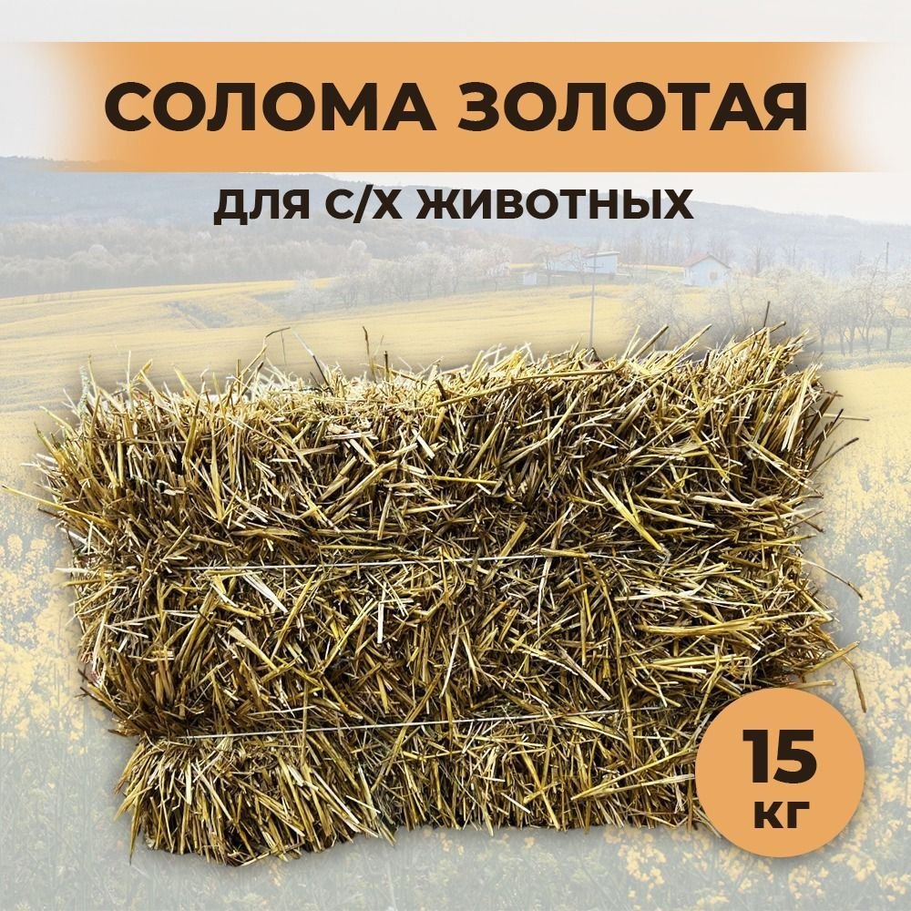Солома пшеничная в будку для собак тюк 15 кг - купить с доставкой по ...