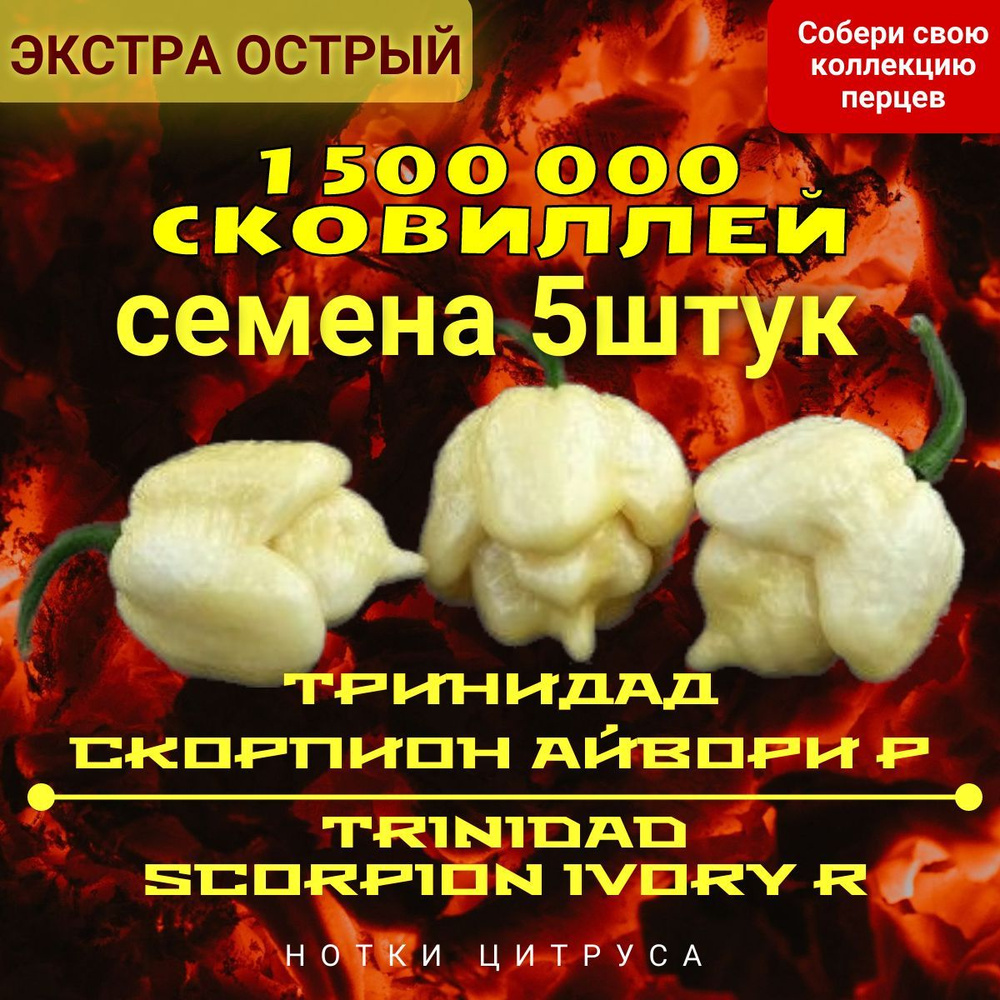 Солянум (Паслен) Плантаго Острый перец 1-2 млн - купить по выгодным ценам в  интернет-магазине OZON (1248914137)