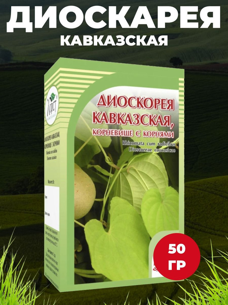 Диоскорея кавказская, корневище 50 гр #1