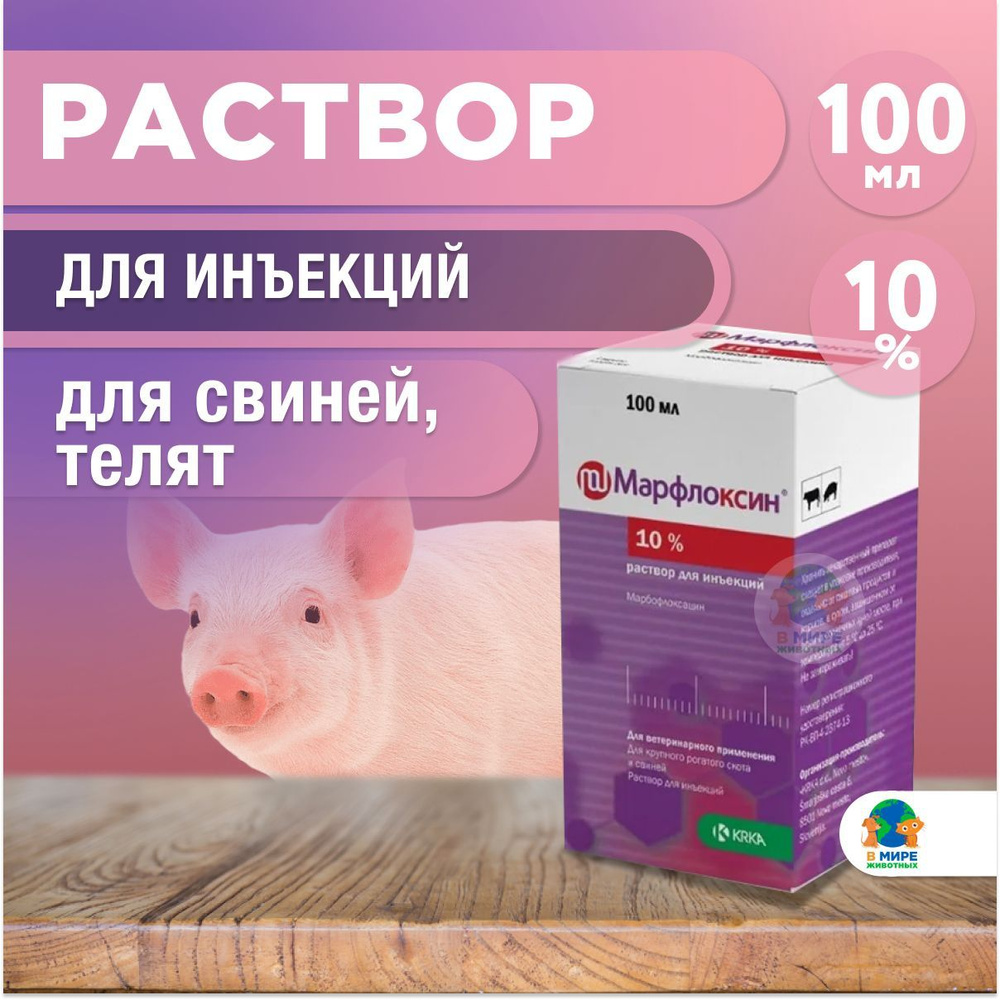 Вы точно человек?