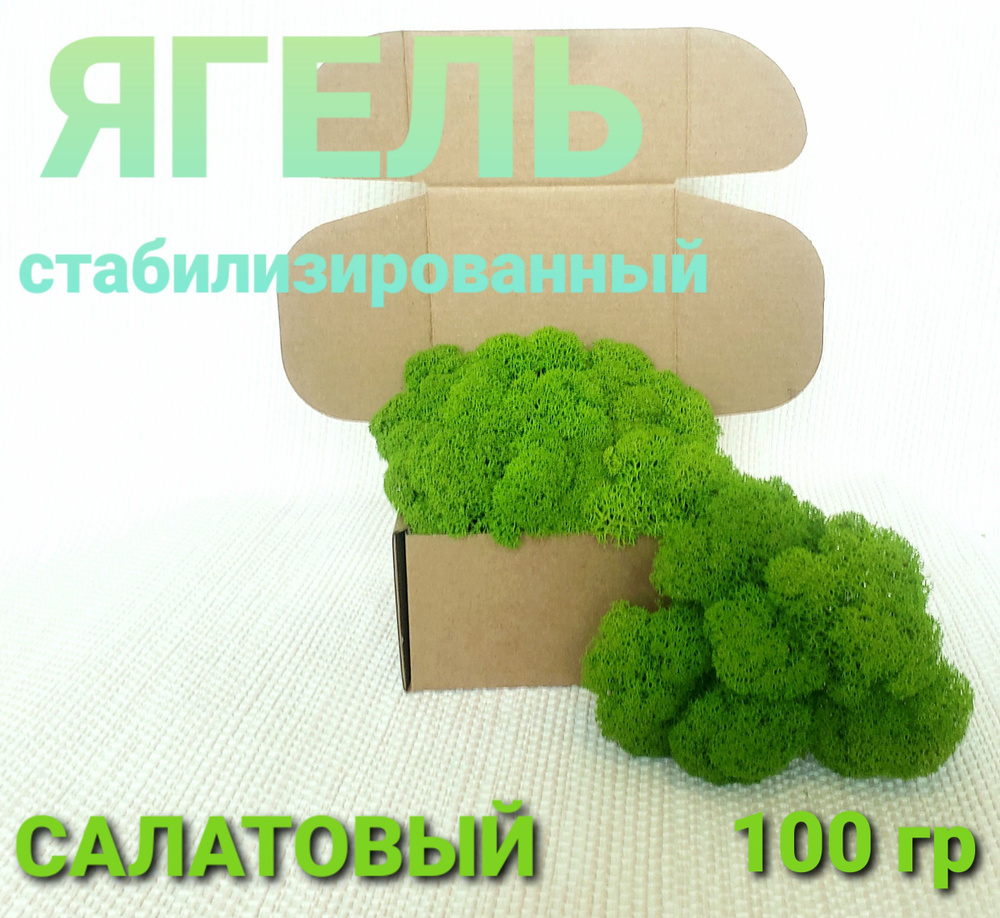 Сухоцветы Мох, 100 гр, 1 шт #1