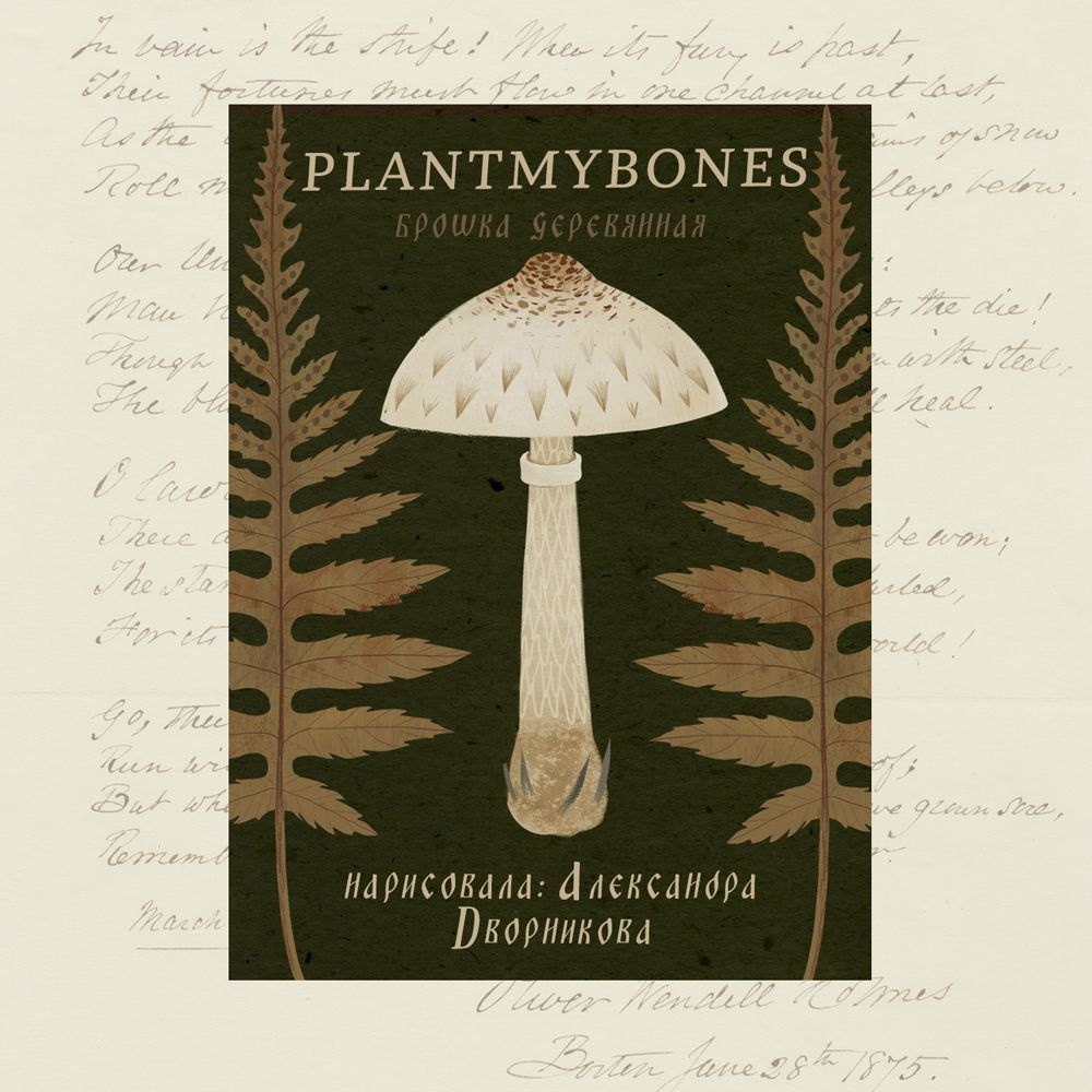 Деревянная брошь PlantMyBones, значок из дерева на замке-булавке с грибами: Гриб-зонтик  #1